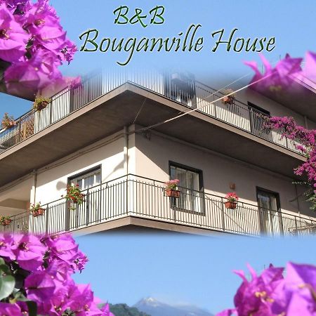 Bouganville House Zafferana Etnea Exterior photo